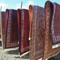 قالیشویی همیشه بهار بندرعباس