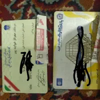 پیدا شده