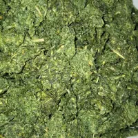 پیازو کوهی(سریت)
