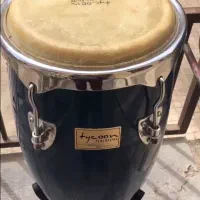 کونگا تایکون