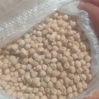 نخودتازه