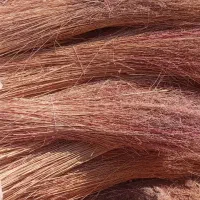 جارو شهرداری