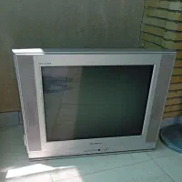 تلوزیون