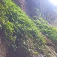 یک عدد کلید جک پیدا شده