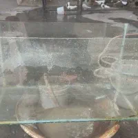 آکواریوم