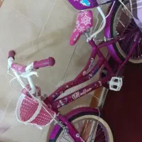 دوچرخه دخترانه