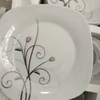 پردیس چینی ۱۰۰پارچه