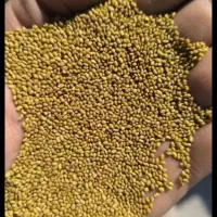 بذر یونجه پابلند درجه 1