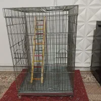 قفس طوطی