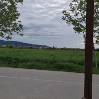 کارگر