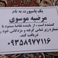 گمشده پاسپورت