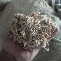 پوشال چوب چنار
