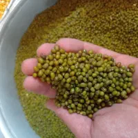 مواد غذایی|خوردنی و آشامیدنی|قم, وادی السلام|دیوار