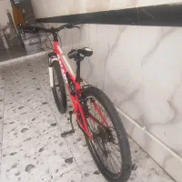 دوچرخه24 گالانت حرفه ای