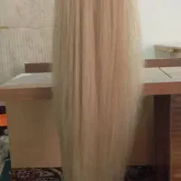 کله مانکن آموزشی با موی بسیار بلند و پر