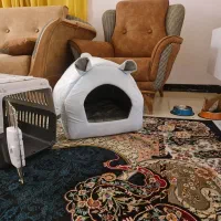 باکس گربه