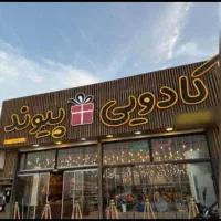 استخدام نیرو دیزاینر