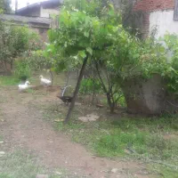 زمین مسکونی جهت مشارکت در ساخت