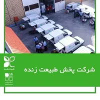 راننده موزع
