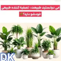 استخدام فروشنده خانم