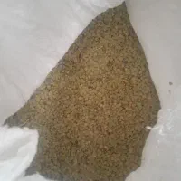 عدس