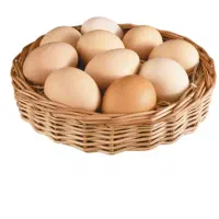 تخم مرغ خانگی