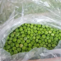 فروشنده خانم جهت فروشندگی در سبزی اماده