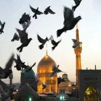 پرواز نجف/بغداد/از تهران مشهد اصفهان