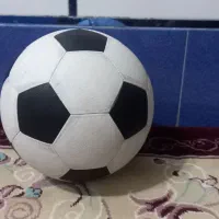 توپ چمن اصل