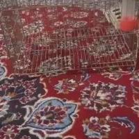 لوازم حیوانات