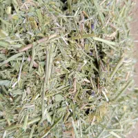 یونجه خرمان کوب شوده