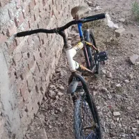 دوچرخه20|دوچرخه، اسکیت، اسکوتر|خاش, |دیوار