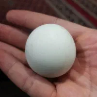 سنگ الماس اسیاب