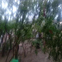 خانه-اجاره-ای-کوتاه-مدت