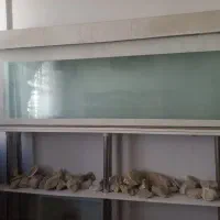 آکواریوم  ۲ متری  در ۷۰ سانت عمق ۲۰