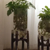 تنگ با پایه