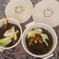 حلزون برای شادابی و کلاژن ساز پوست