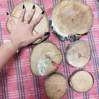 تعدادی چوب درخت