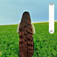 موی طلایی