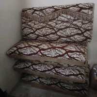 ۳ جفت پشتی