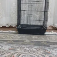 قفس پرنده