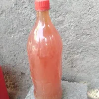 آبغوره