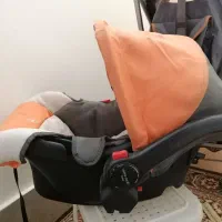 تخت پارک پیرگاردین  کاملا نو و کریر  اصل