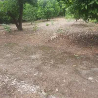 فروش زمین قیمت مناسب با موقعیت مکانی خیلی خوب