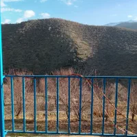 سویت اجاره ای