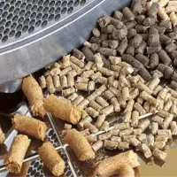 فروش ۱ تن خوراک مرغ تخم گذار