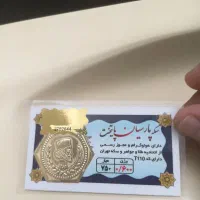 سکه پارسیان ۶۰۰ سوتی