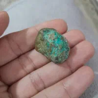 فیروزه رفسنجان