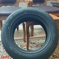 لاستیک سمند