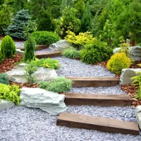 باغبانی و هرس و سم پاشی و تشخیص بیماری